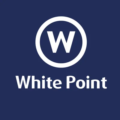 whitepointelabd.com's icon