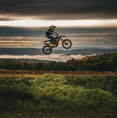 whitetailmx.com's icon