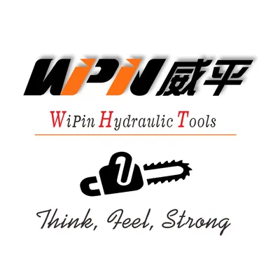 wi-pin.com's icon