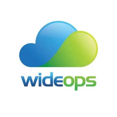 wideops.com's icon
