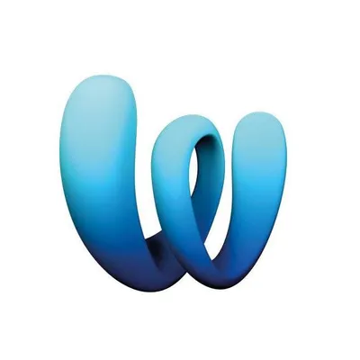 widerhall-beratung.com's icon
