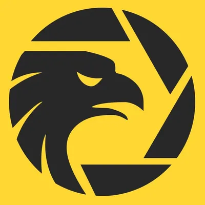 wikifxtips.com's icon