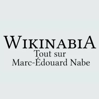 wikinabia.com's icon