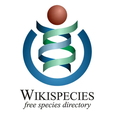 wikispecies.org's icon