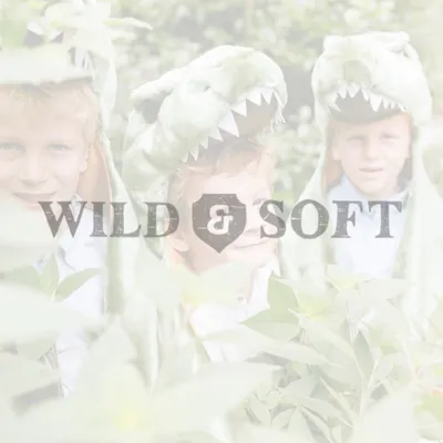 wildandsoft.com's icon
