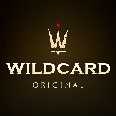 wildcard.ws's icon