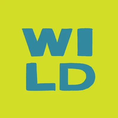 wildclean.com's icon