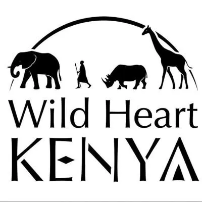 wildheartkenya.org's icon