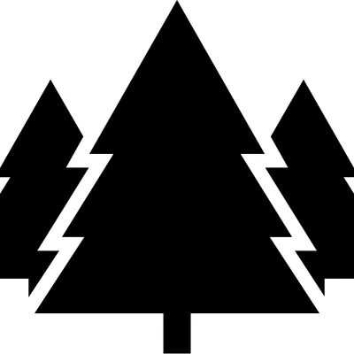 wildhikesfinland.com's icon