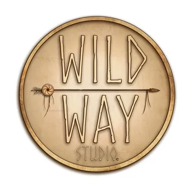 wildway-studio.com's icon