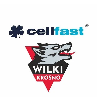 wilkikrosno.pl's icon