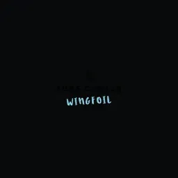 Wingfoil Center Tarifa's brand icon