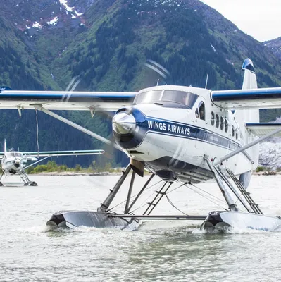 wingsairways.com's icon