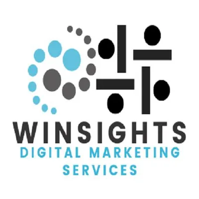 winsightsdms.com's icon
