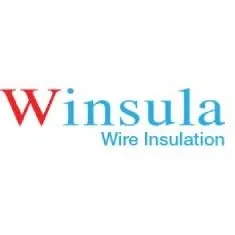 winsula.com's icon