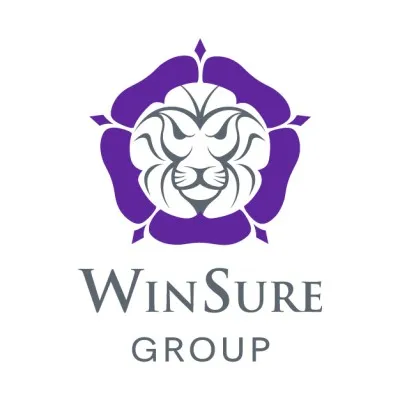 winsure.group's icon