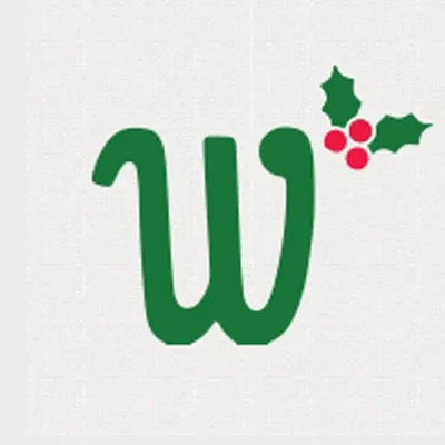 winterfunland.com's icon