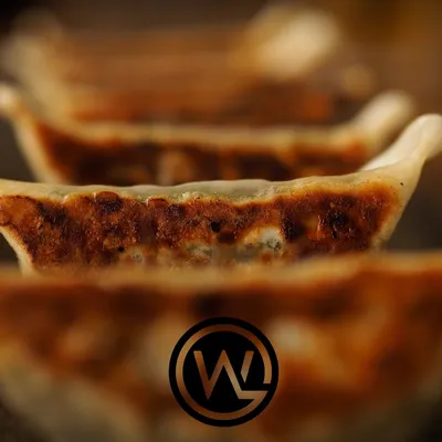 winterlandlodge.com's icon