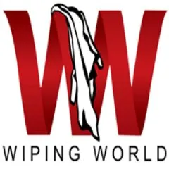 wipingworld.com's icon