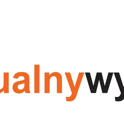 wirtualnywydawca.pl's icon