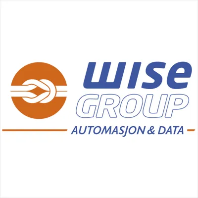 wisegroupsystems.com's icon