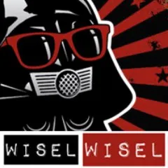 wiselwisel.com's icon