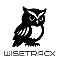 wiseowltechnology.com's icon