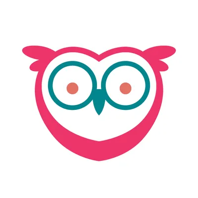 wiseplanmanagement.com.au's icon