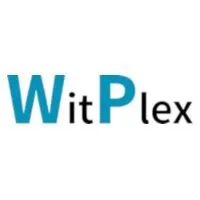 witplex.com's icon