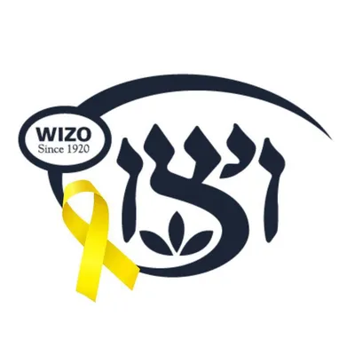 wizo.nl's icon