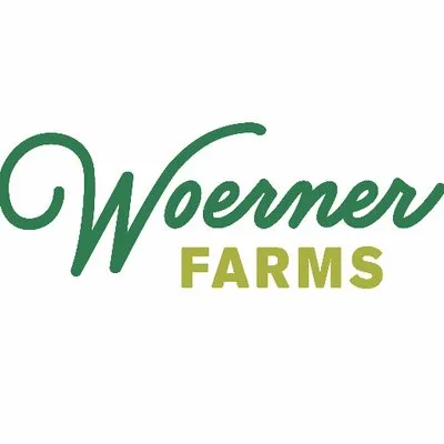 woerner.com's icon