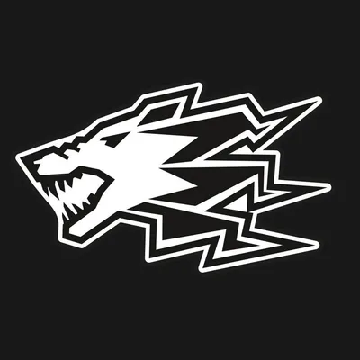 wolf-gang.cz's icon