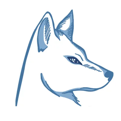 wolfeaccountingsolutions.com's icon