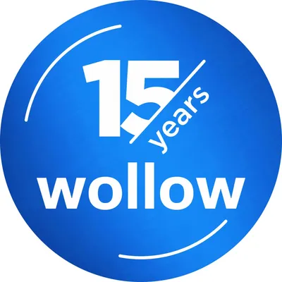 wollow-soft.com's icon