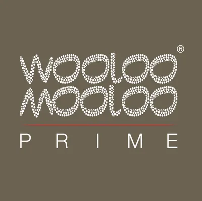 woo-prime.com's icon