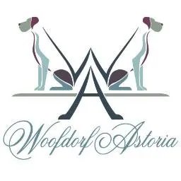 woofdorflakewoodranch.com's icon