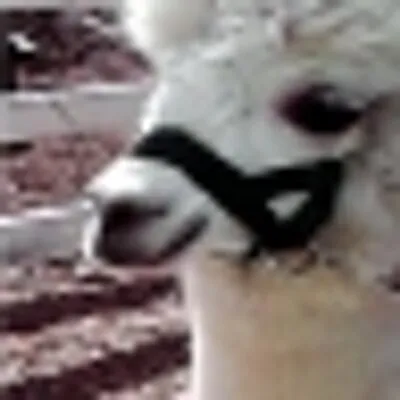 word-insight.com's icon