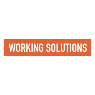 workingsolutionsnyc.com's icon
