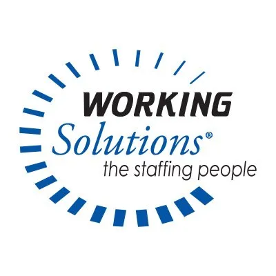 workingsolutionsusa.com's icon