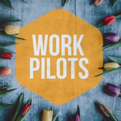 workpilots.com's icon