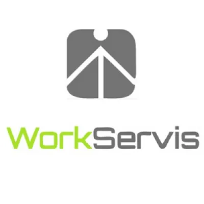 workservis.com's icon