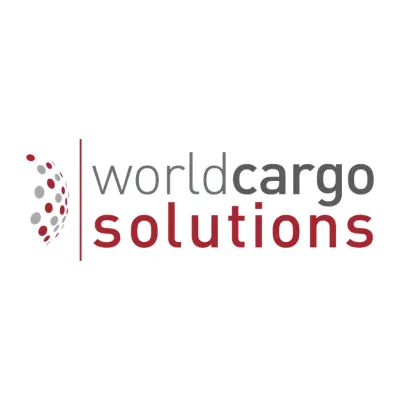 world-cs.com's icon