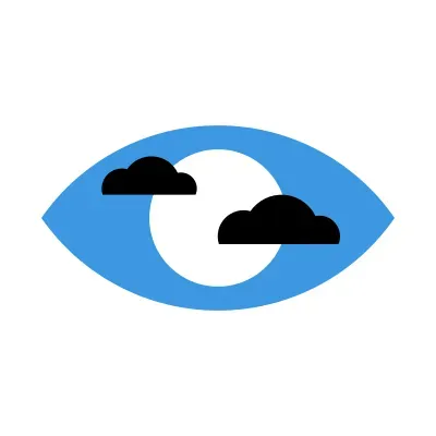 wsffest.com's icon