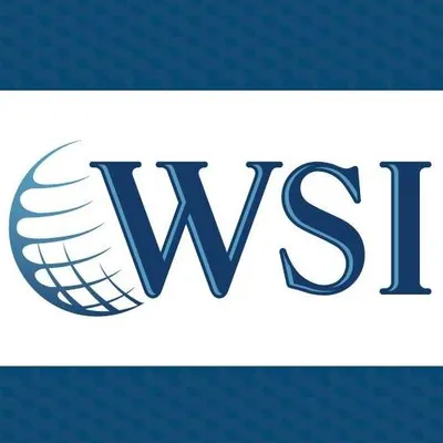 wsidinamica.com's icon