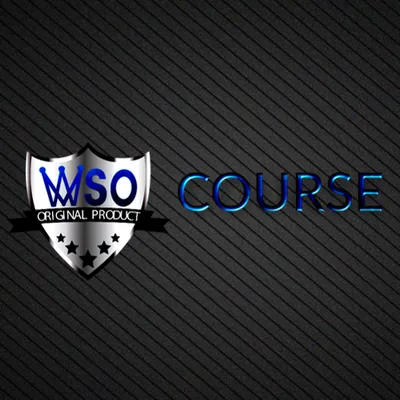 wsocourse.co's icon