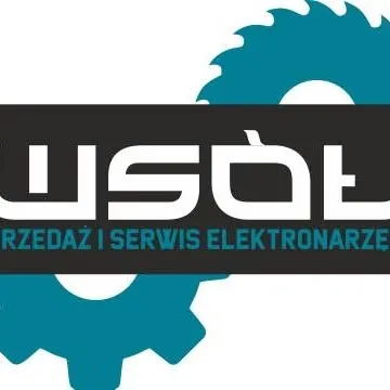 wsol.com.pl's icon