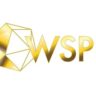 wspinc.com.ph's icon