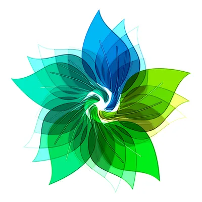 wteinternational.com's icon
