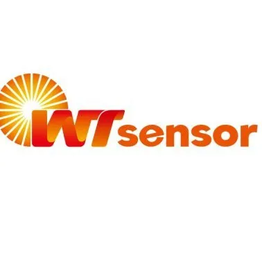 wtsensor.com's icon