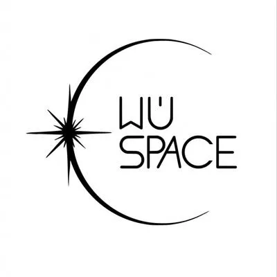 wuespace.de's icon